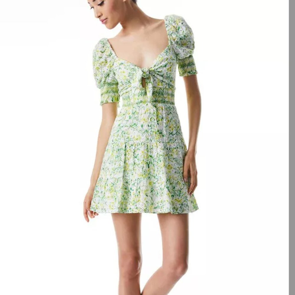 KRISTIE SWEETHEART PUFF SLEEVE MINI DRESS - Size 6 - NWT